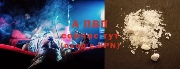 прущие грибы Усинск