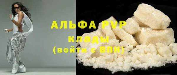 твердый Аркадак