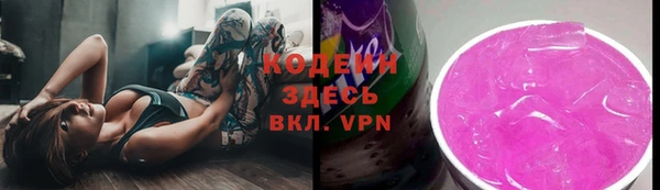твердый Аркадак
