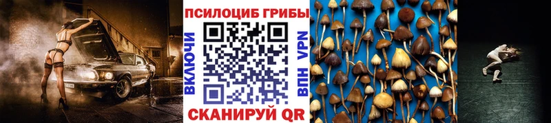 Галлюциногенные грибы Cubensis  Чебоксары 