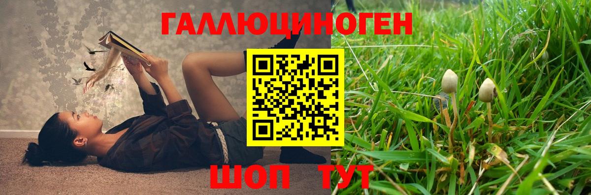 Псилоцибиновые грибы мицелий  продажа наркотиков  Чебоксары  Вход с VPN  Псилоцибиновые грибы Magic Shrooms 